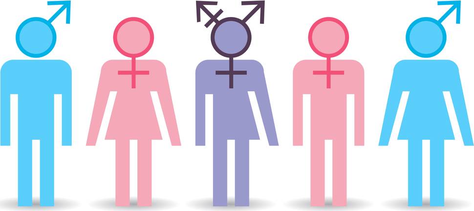 Sexuality and Gender Vocabulary