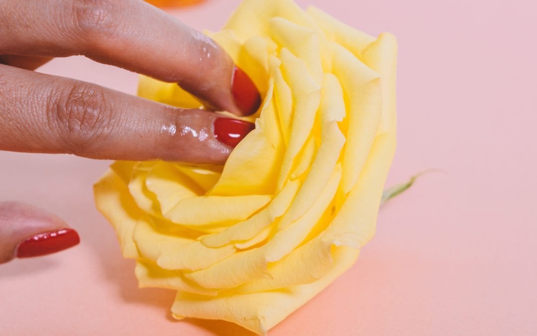 A Love Letter to My Vagina